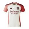Olympique Lyonnais Third