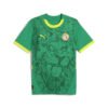 Maillot Senegal Exterieur 2025