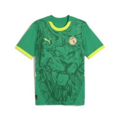 Maillot Senegal Exterieur 2025